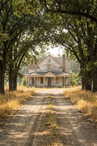 AI Image: Dreamy Old Farmhouse with Tree-Lined Avenue