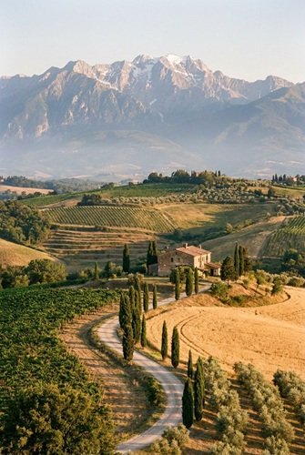 AI Image: Panoramic Picture of a Beautiful Landscape